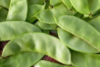 湖北湖南人热议鹅米豆称呼差异