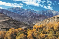 在“世界屋脊”守护生命健康