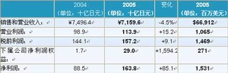 截止2005年3月31日的2004财年综合业绩